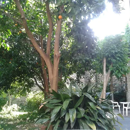 Casa Rural Corvina-2